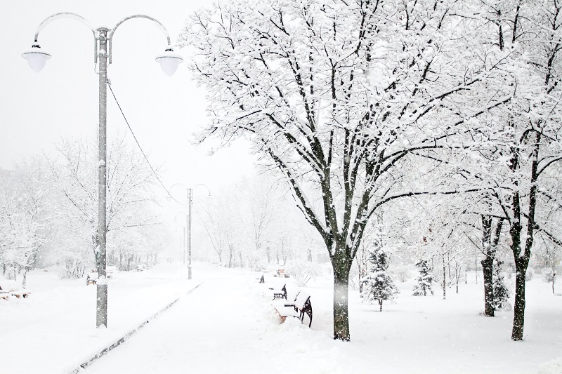 Deadly Winter Storm Batters Buffalo, New York