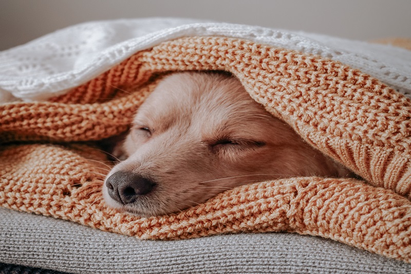 An Electric Blanket