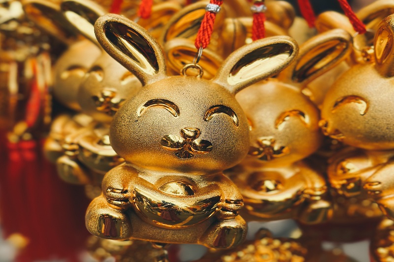 The Year of the Cat Instead of the Rabbit in the Vietnamese Zodiac