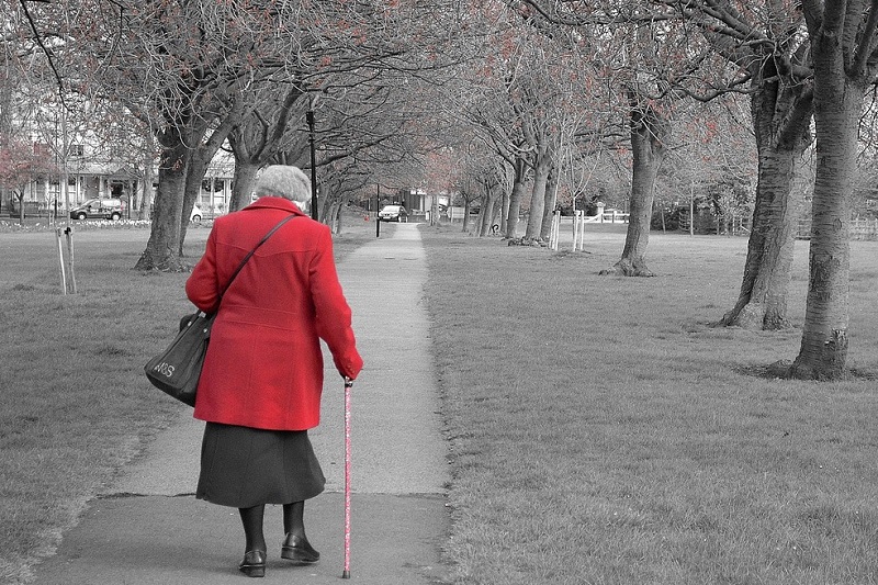 Helping an Old Lady Cross the Street