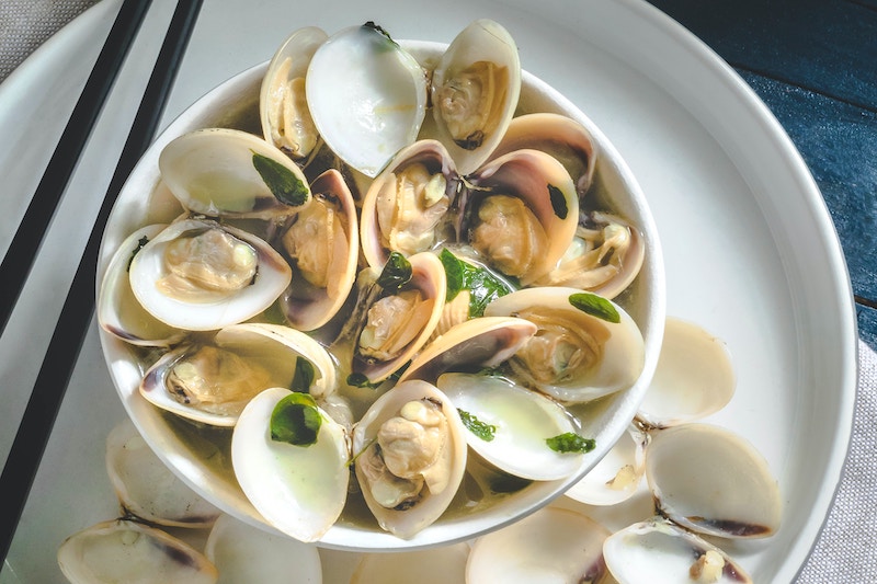 New Species of Clam Discovered in Taiwan