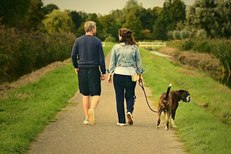 Taking Steps Towards Health