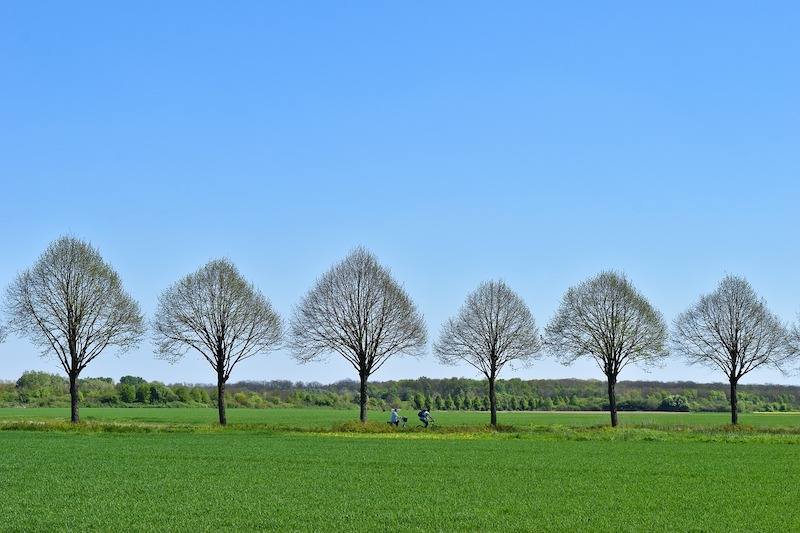 Going Green at Home