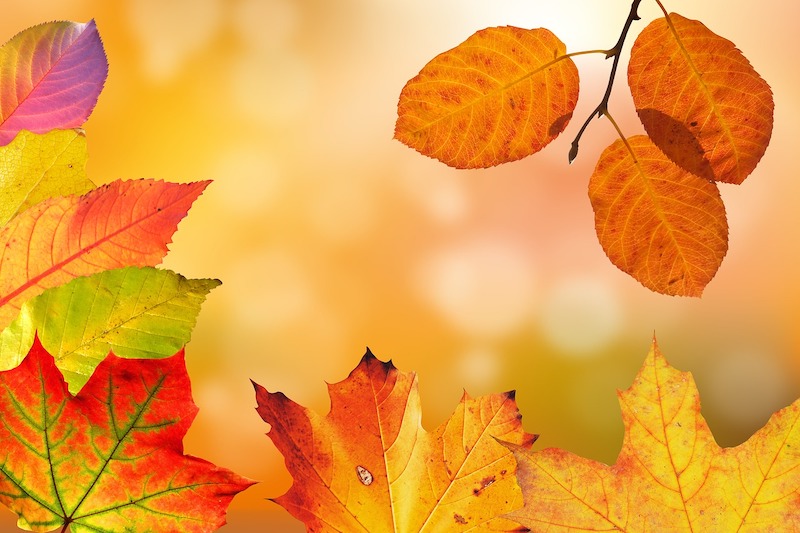 Preparing for Fall Weather