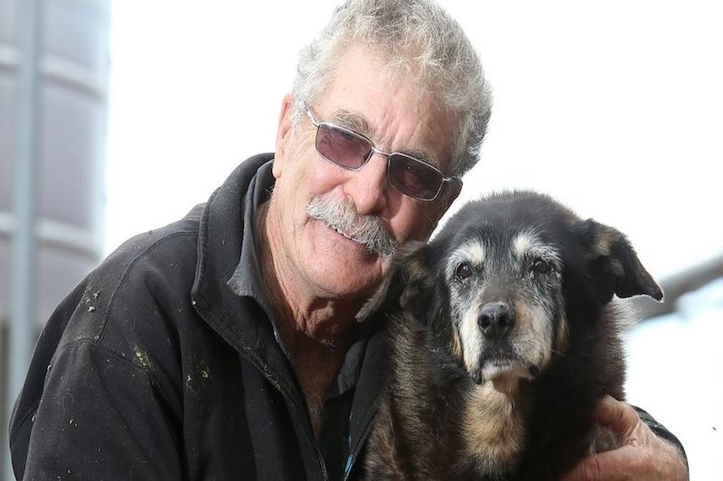 Age of ‘World’s Oldest Dog’ Doubted by Many
