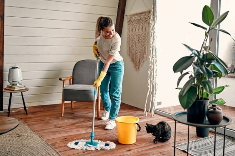 Cleaning Up the House