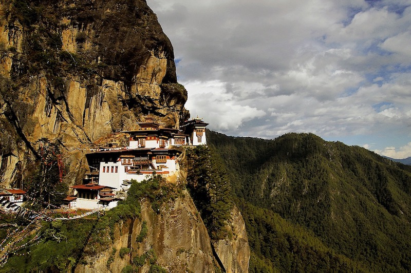 Bhutan’s Landmark Success: Achieving 100% Stray Dog Vaccination and Sterilization