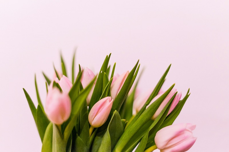 International Women’s Day