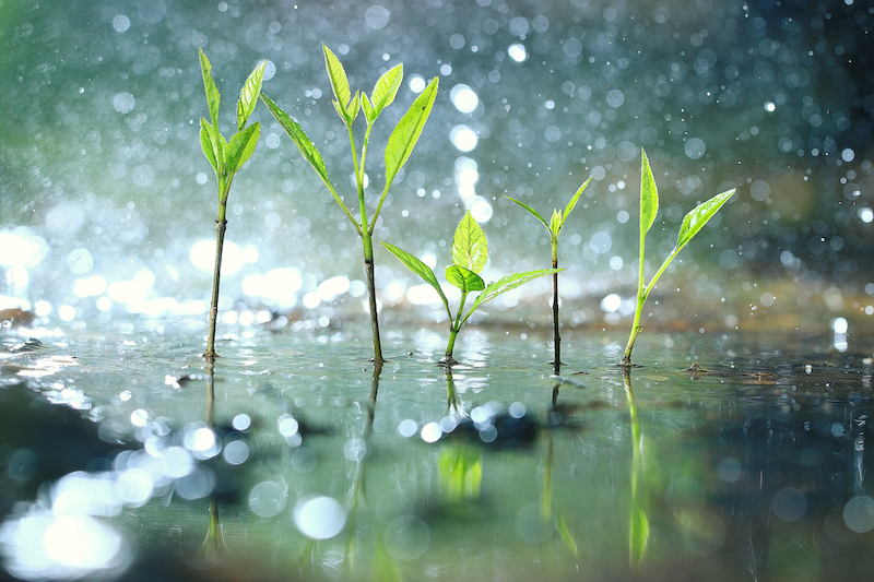 Do You Know Why It Rains?