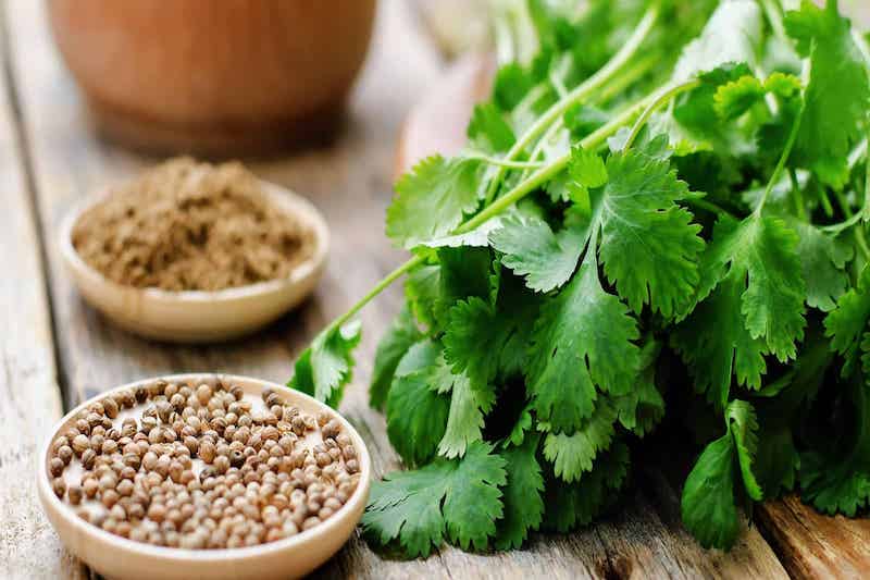 Coriander or No Coriander?