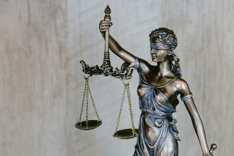 Checks and Balances of Power in Constitutions