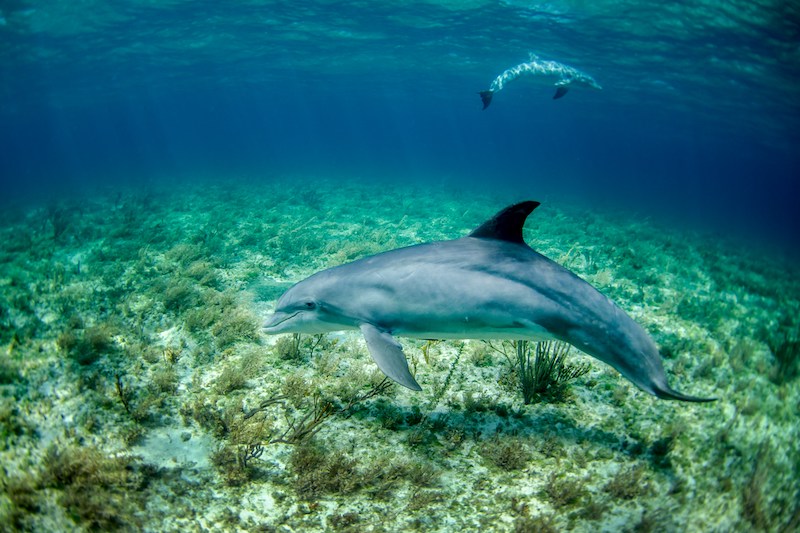 Marine Education in Penghu