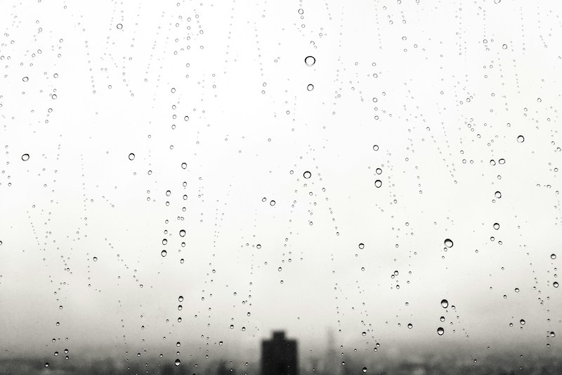 Rainy Day Trouble