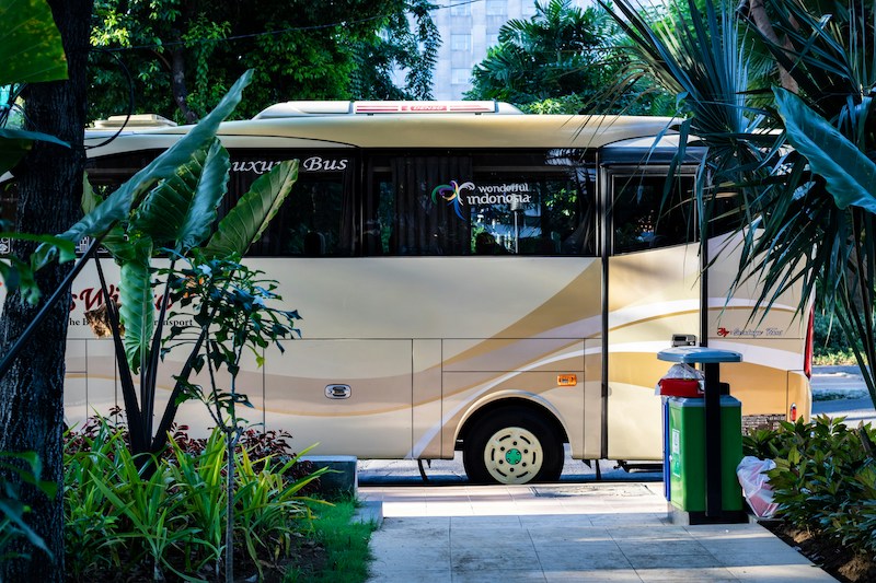 Which Bus Goes Downtown?