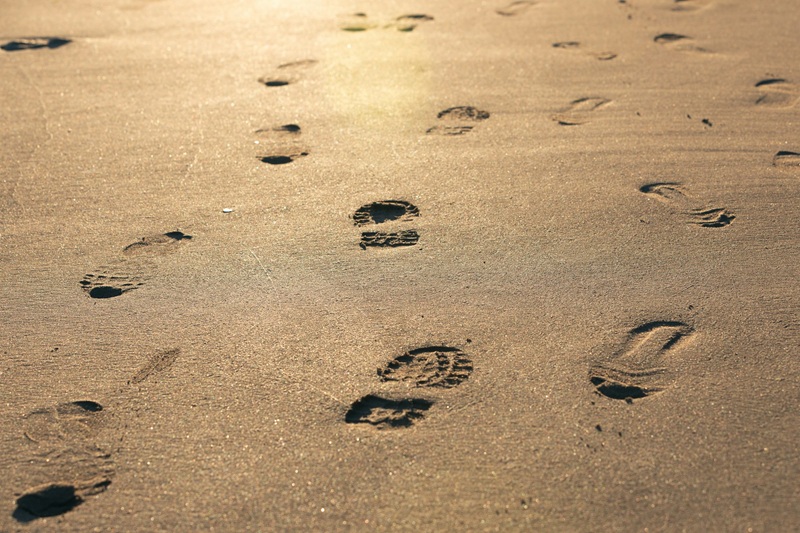 Understanding Digital Footprints