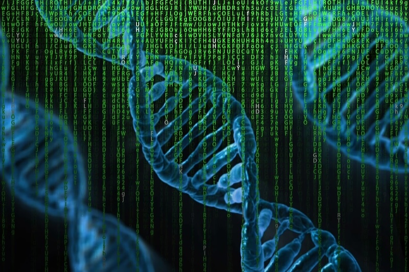 ‘Epi-Bit’ Method Helps Pioneer More Efficient DNA Data Storage Systems