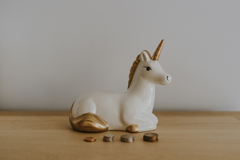Tech Startup Investment Email