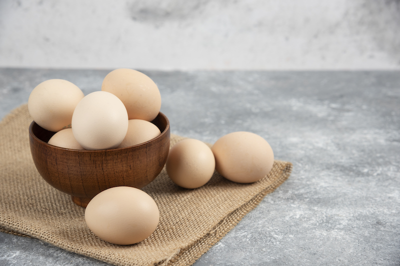 Egg Thief at University Store!