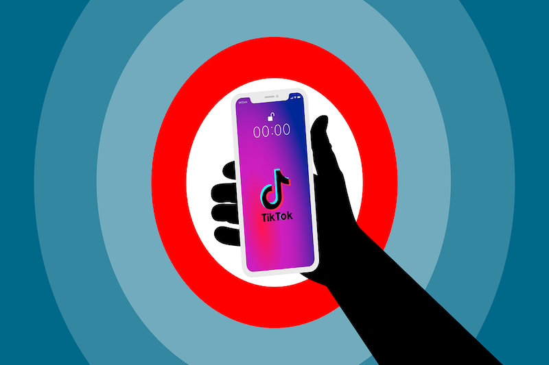 TikTok’s Future in American Hands?