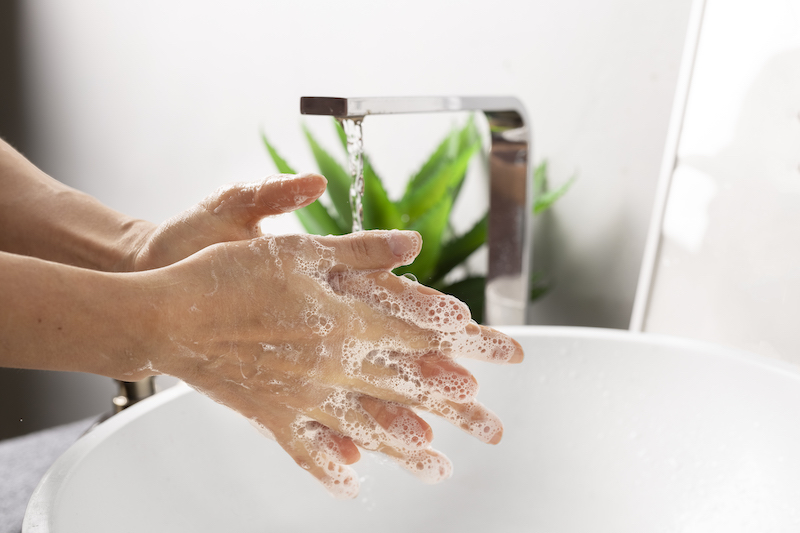 Wash Your Hands, Max!
