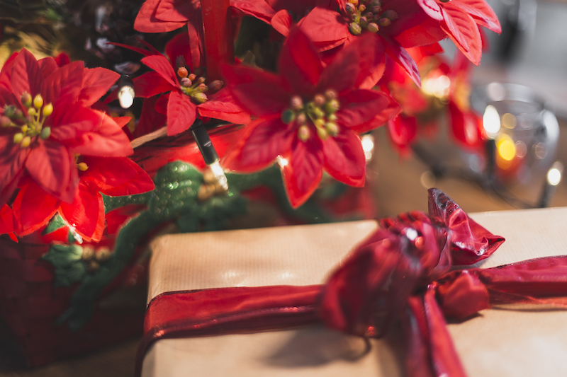 Summer or Winter? The Curious Case of Tainan Poinsettias