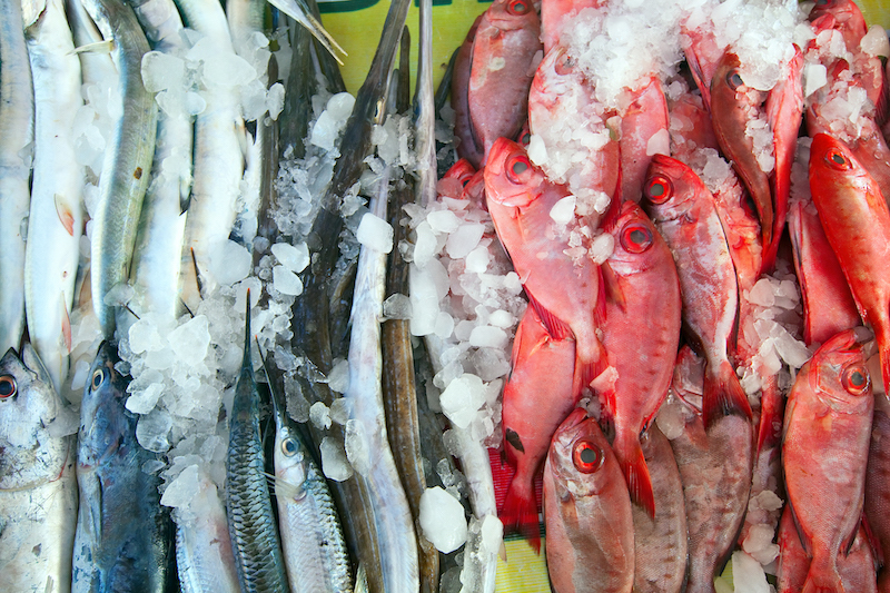 Buying Fresh Fish at the Market