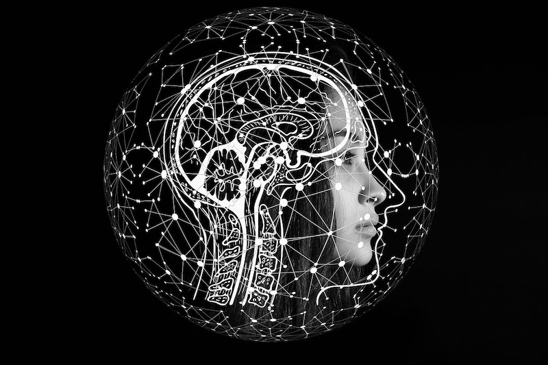 How AI Learns — and What That Means for Us