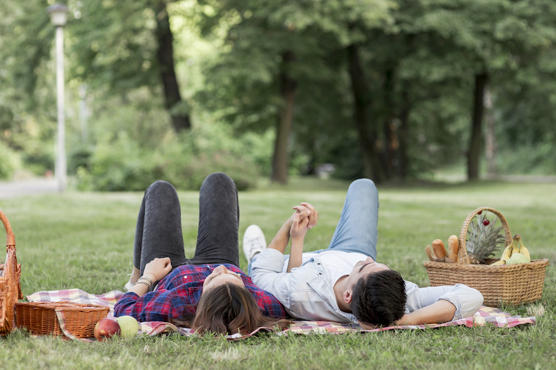 Let’s Have a Picnic!