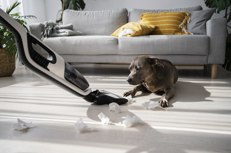 Collaboration Invitation – Vacuum Cleaner Partnership